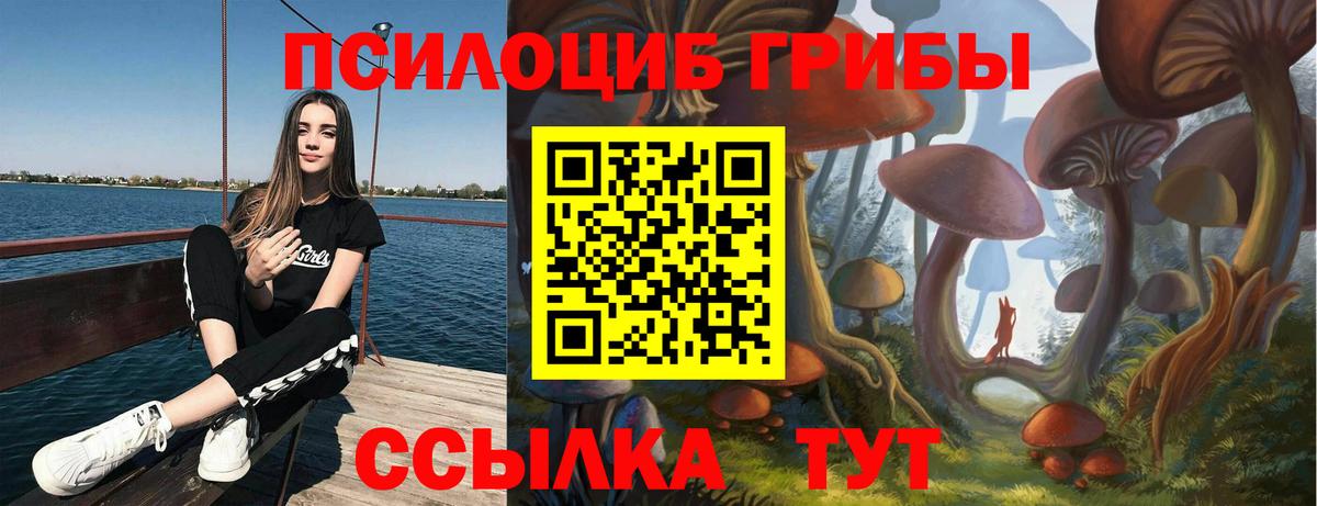 Псилоцибиновые грибы GOLDEN TEACHER  Вход с VPN  Канск  Галлюциногенные грибы GOLDEN TEACHER 