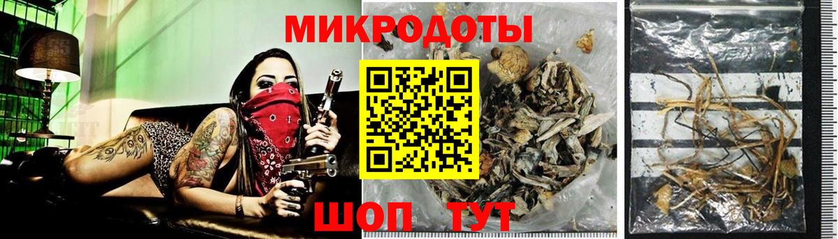 Галлюциногенные грибы мицелий Канск